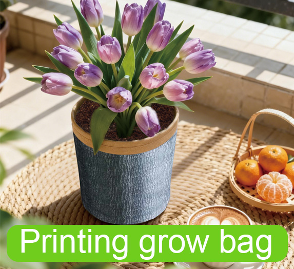 Printing grow bag